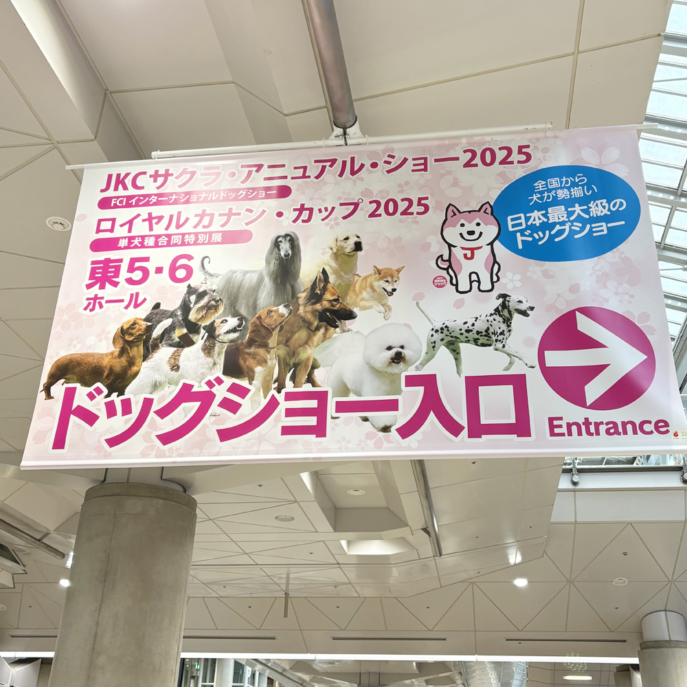 先生たち、ドッグショーへ行ってきました！